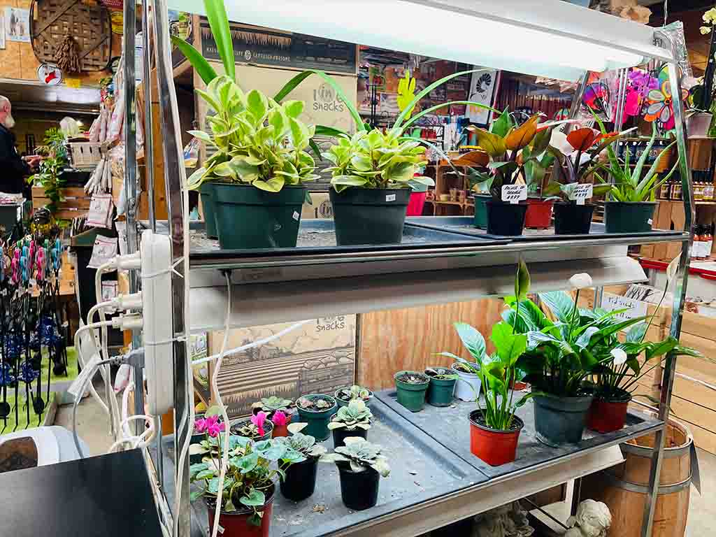 Clay's Garden Center