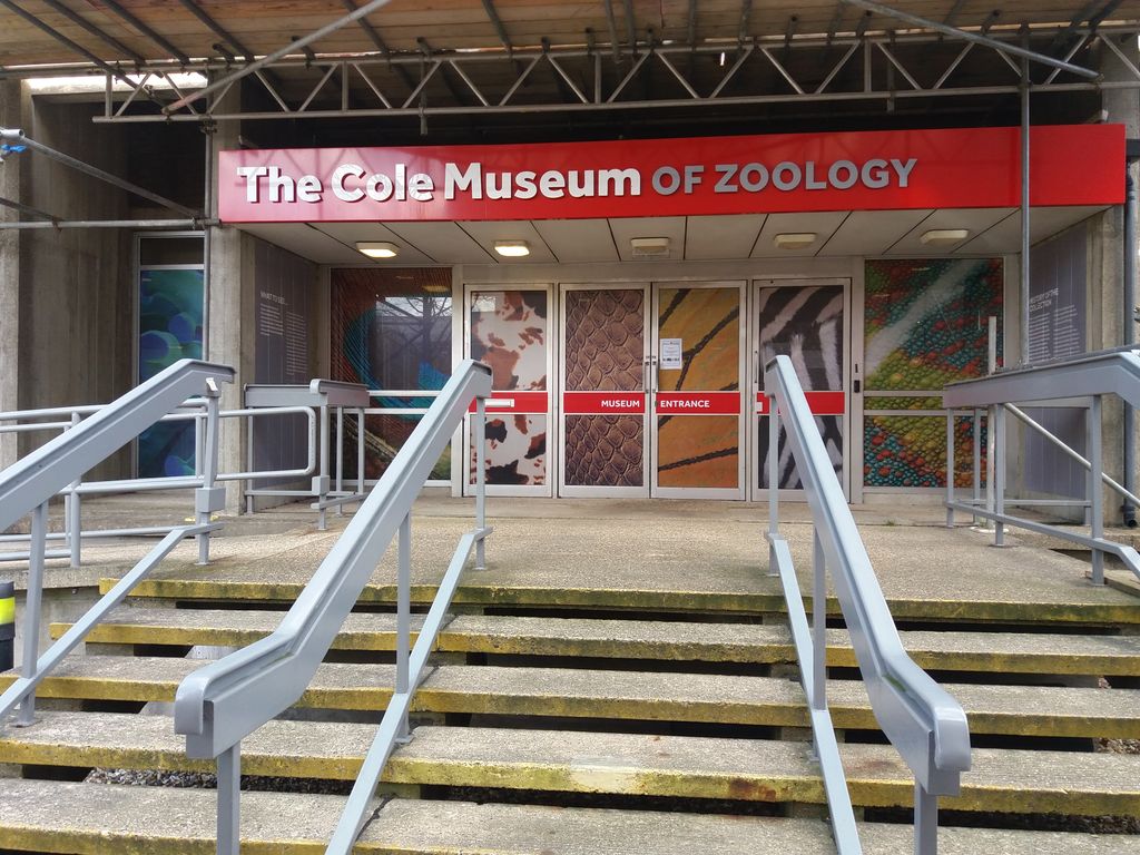 Cole-Museum-of-Zoology-1