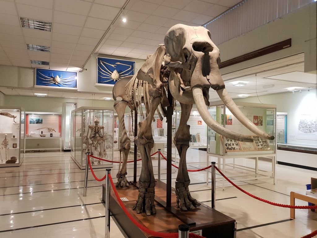 Cole-Museum-of-Zoology