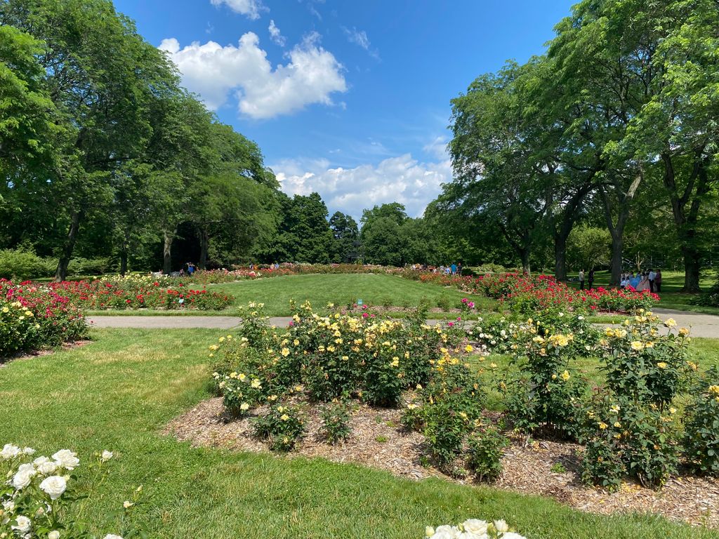 Columbus-Park-of-Roses