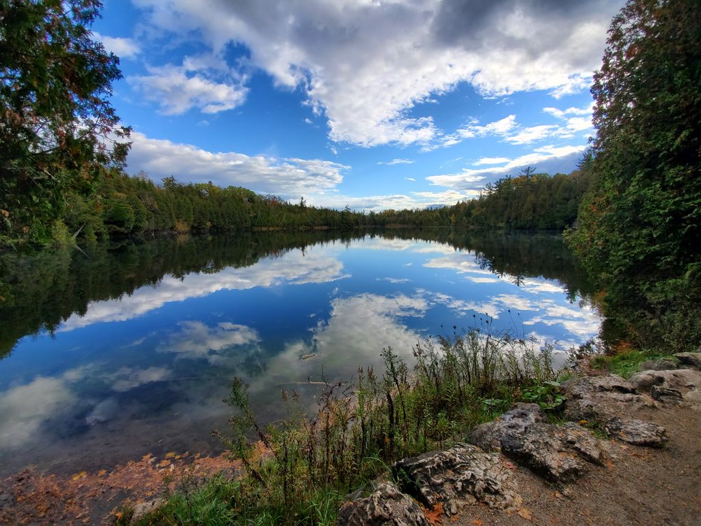 Crawford-Lake-Conservation-Area