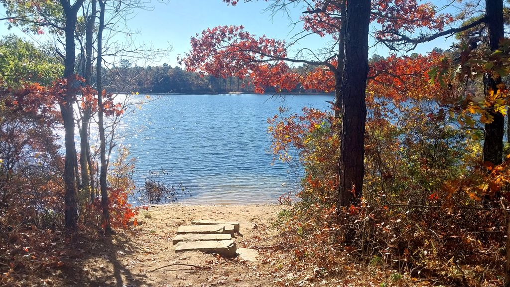 Deer-Pond-Dog-Beach-3