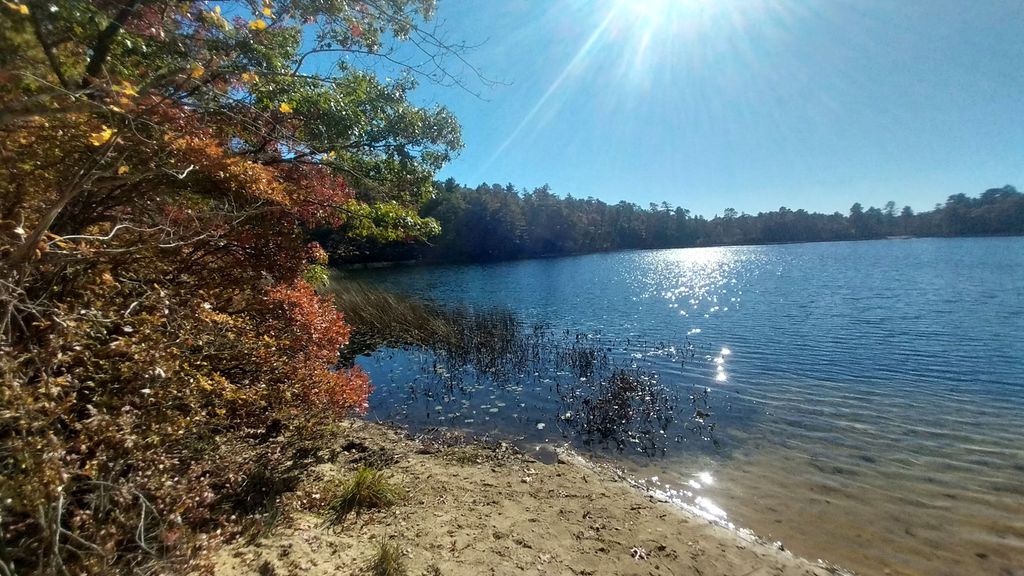 Deer-Pond-Dog-Beach-5