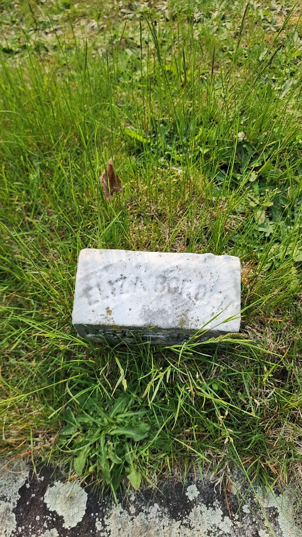 Eliza-Darling-Borden-grave