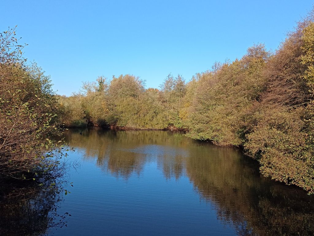 Essex-Wildlife-Trust-Fingringhoe-Wick-Nature-Discovery-Park