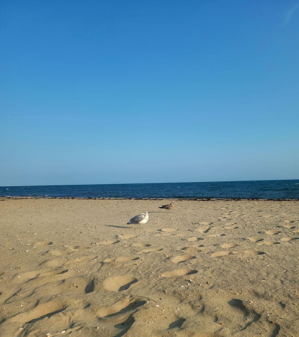 Falmouth-Heights-Town-Beach