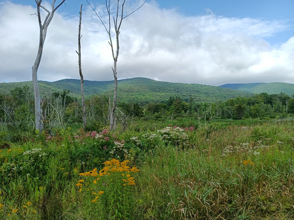 Field-Farm-Reservation