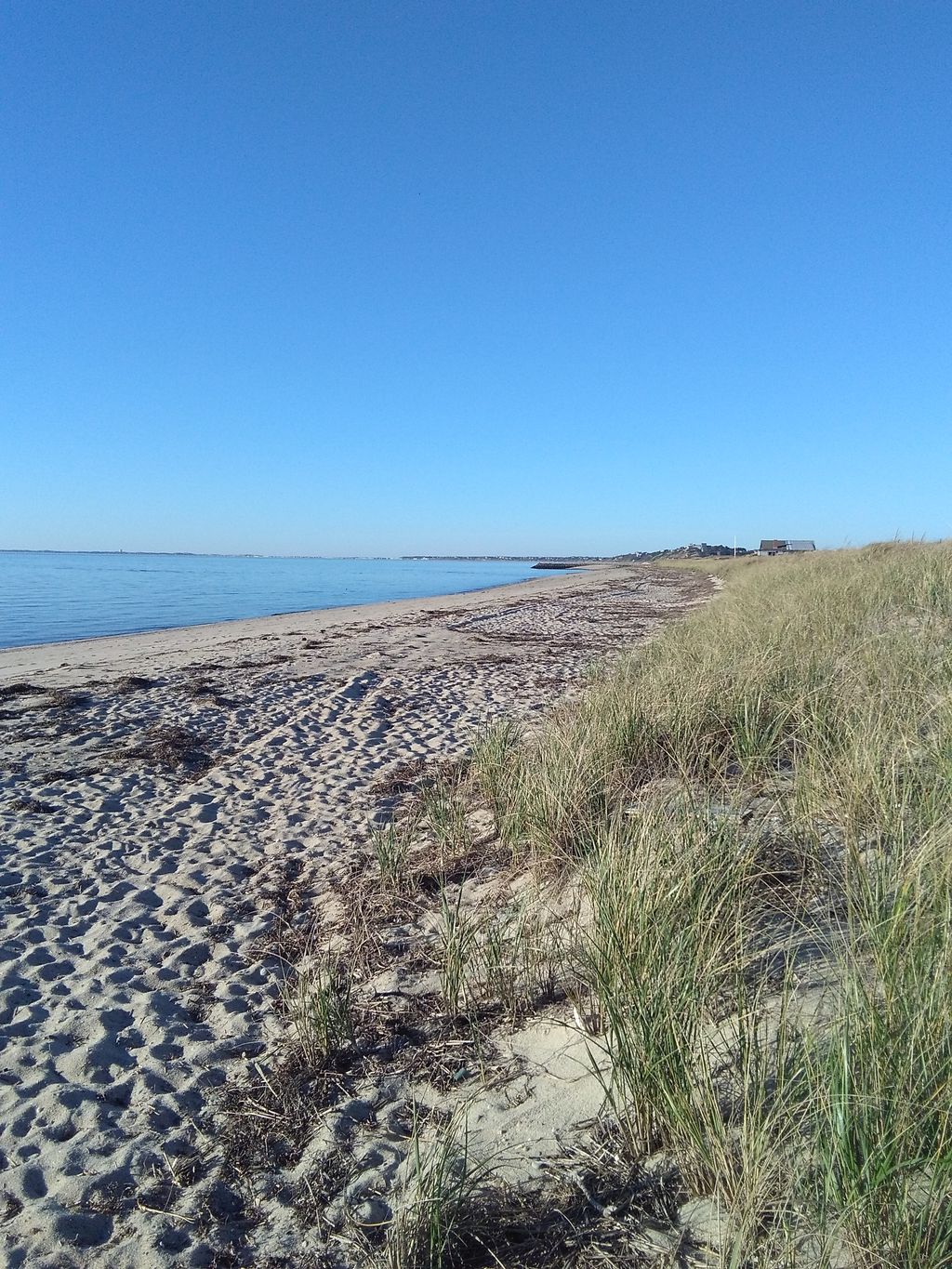 Seashell Stories: 11 Beaches of Truro as Told by the Locals ...