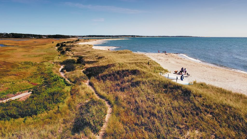 Forest-Beach