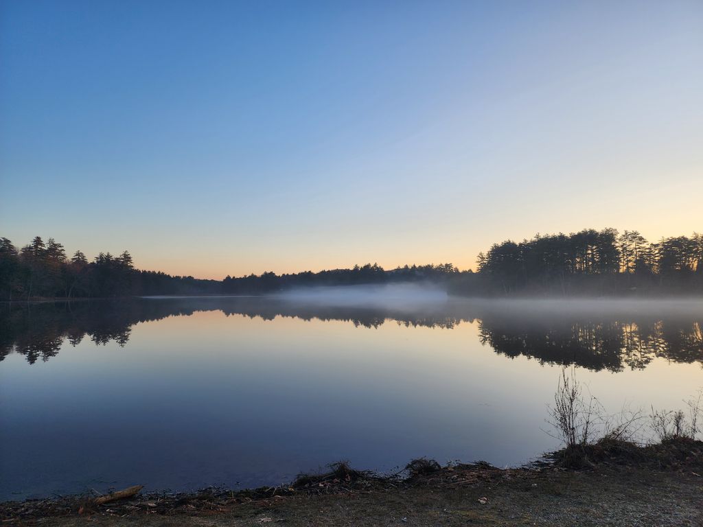 Forest-Lake-Wildlife-Management-Area