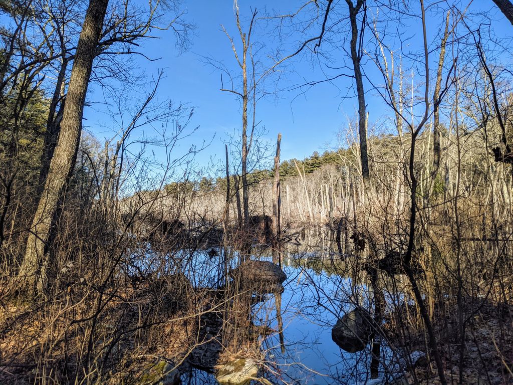 Fork-Factory-Brook-Reservation-1