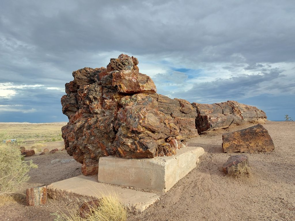 Giant-Logs-Trail-2