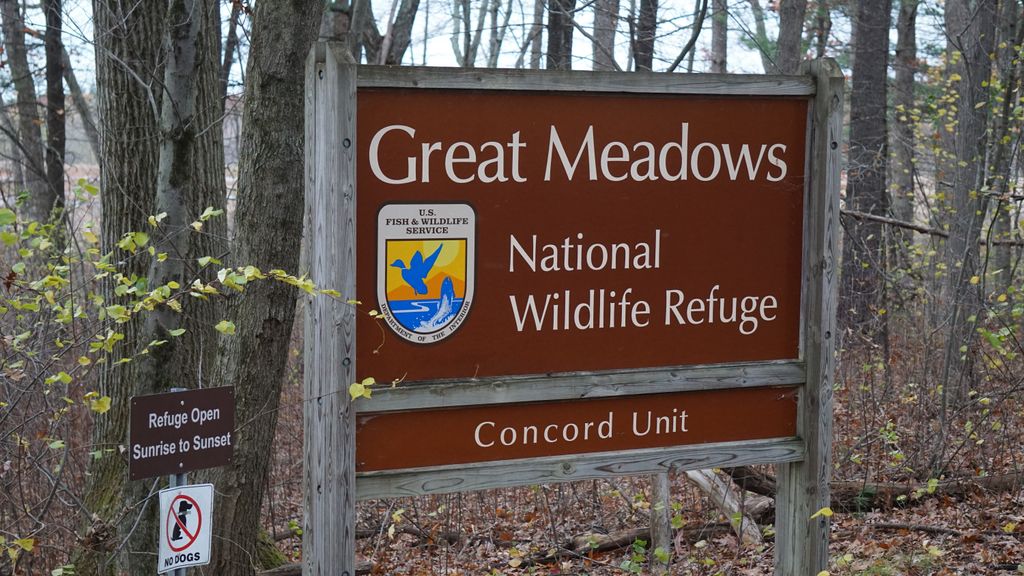 Great-Meadows-National-Wildlife-Refuge-Concord-Unit-1