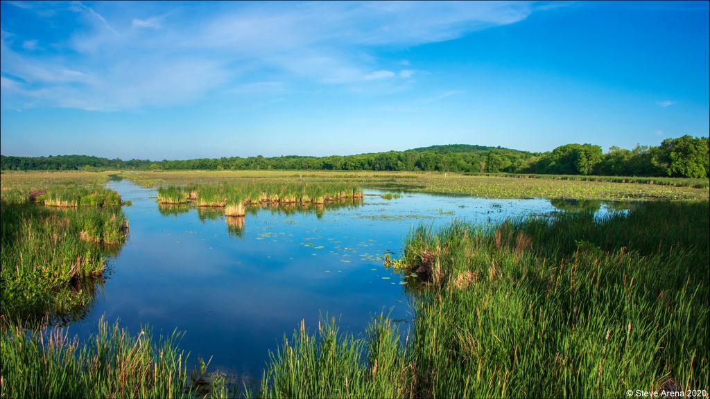 Great-Meadows-National-Wildlife-Refuge-Concord-Unit