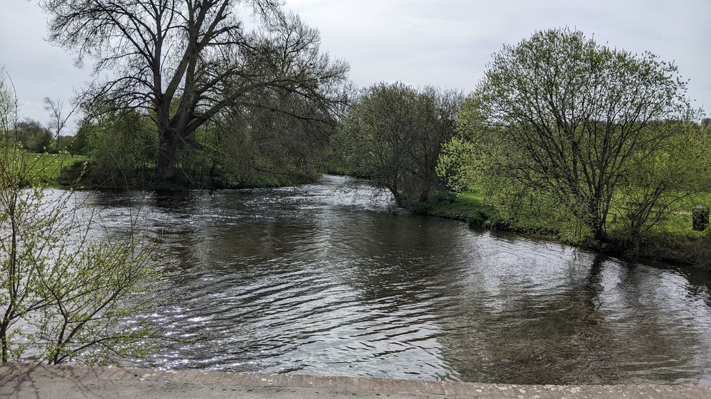 Harnham-Water-Meadows-2