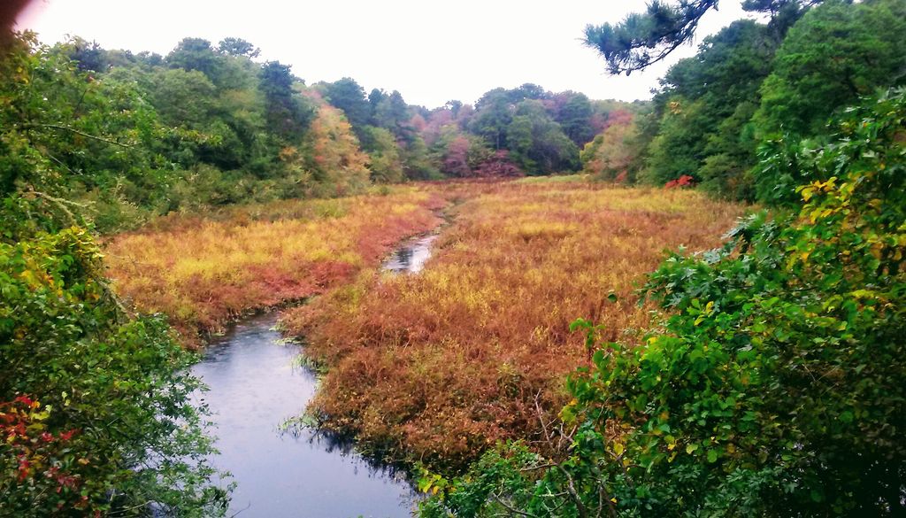 Herring-River-Greenbelt