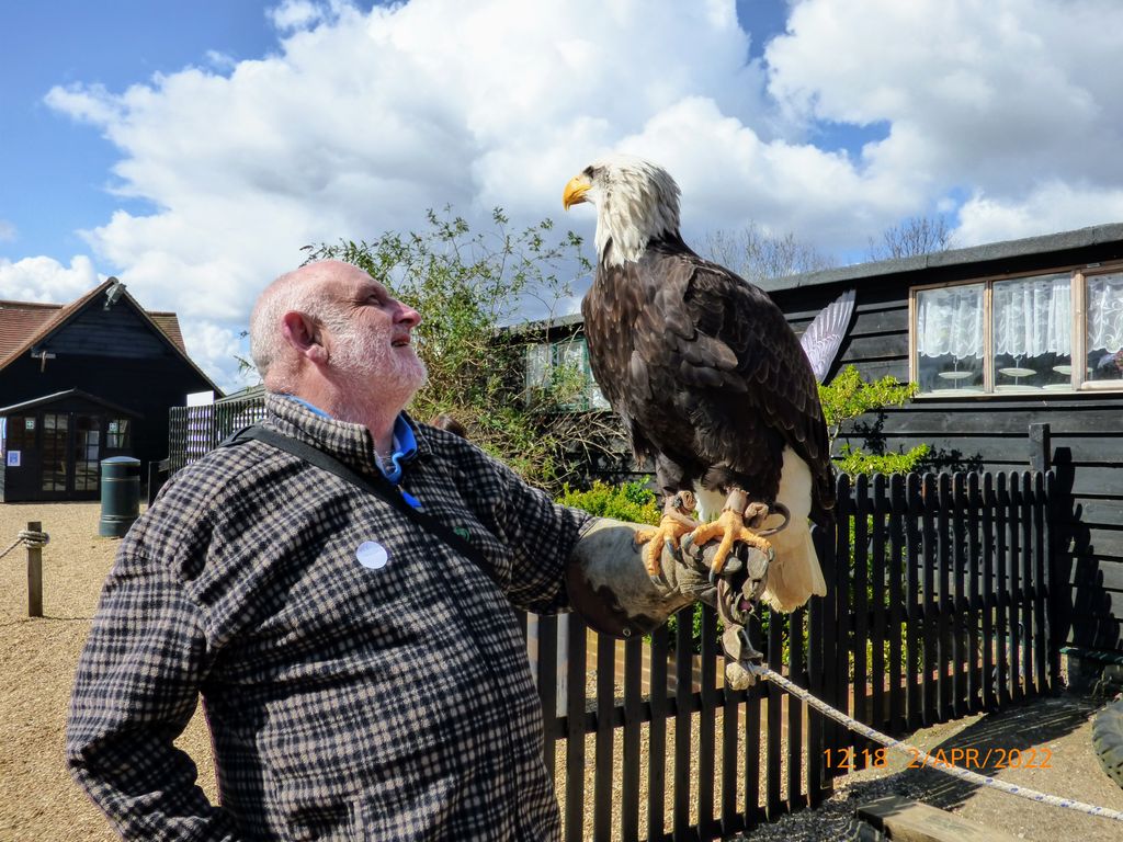 Herrings-Green-Activity-Farm-Bird-of-Prey-Centre-1