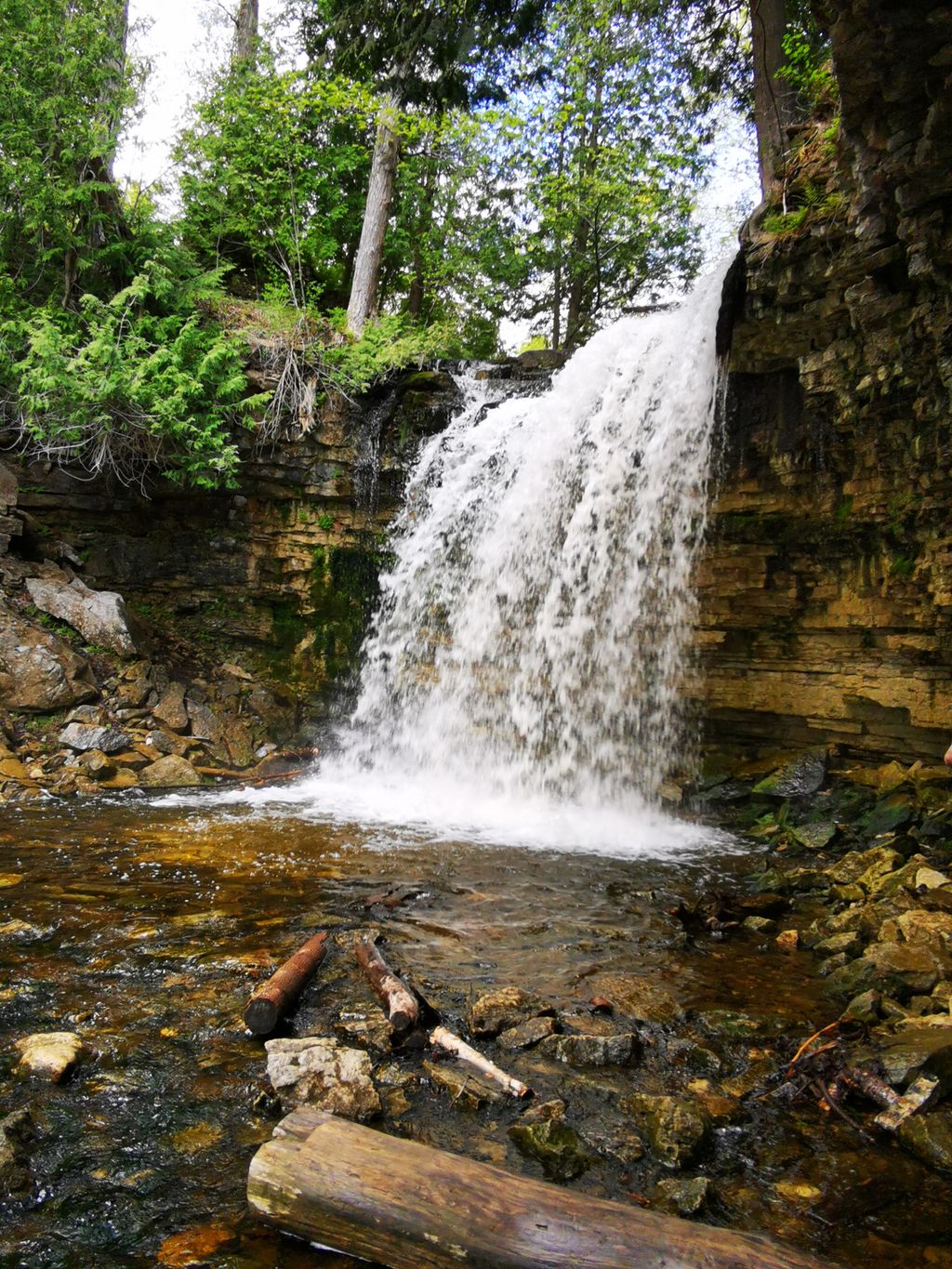 Hilton-Falls-Conservation-Area-1