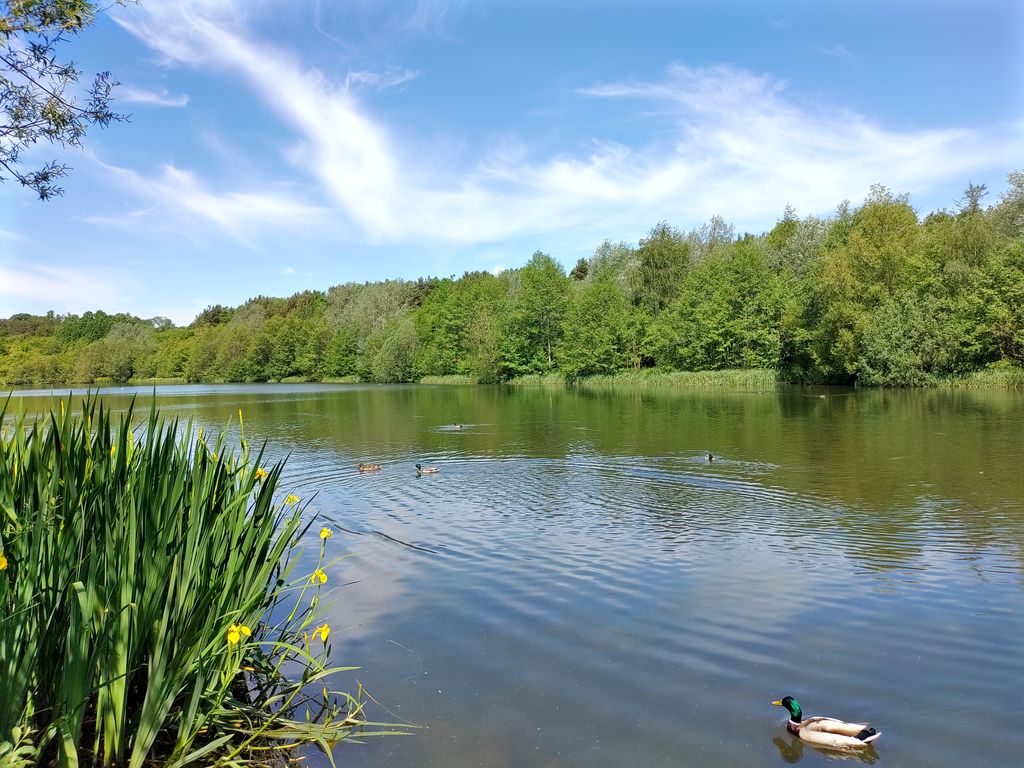 Holmebrook-Valley-Country-Park