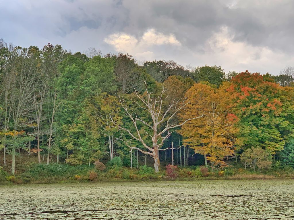 Inn-at-Fox-Hill-Farm-Pomfret