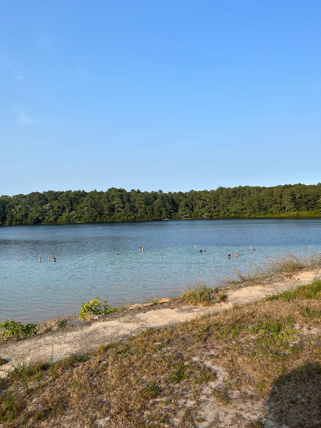 Joshua-Pond-Beach