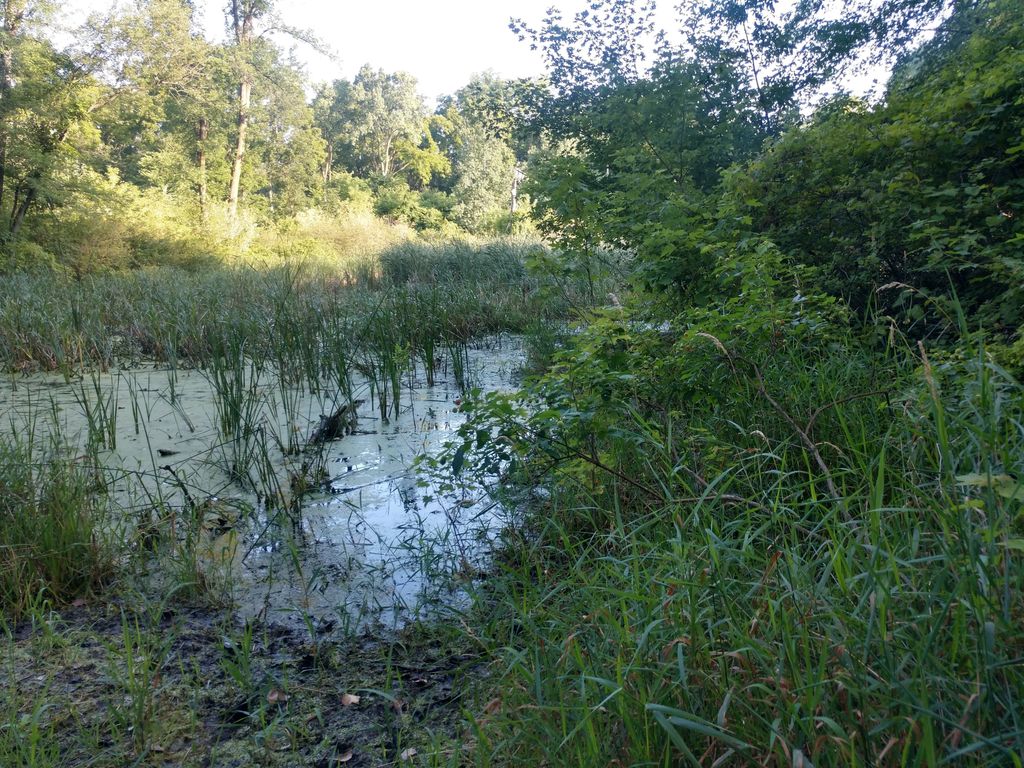 Kettle-Pond