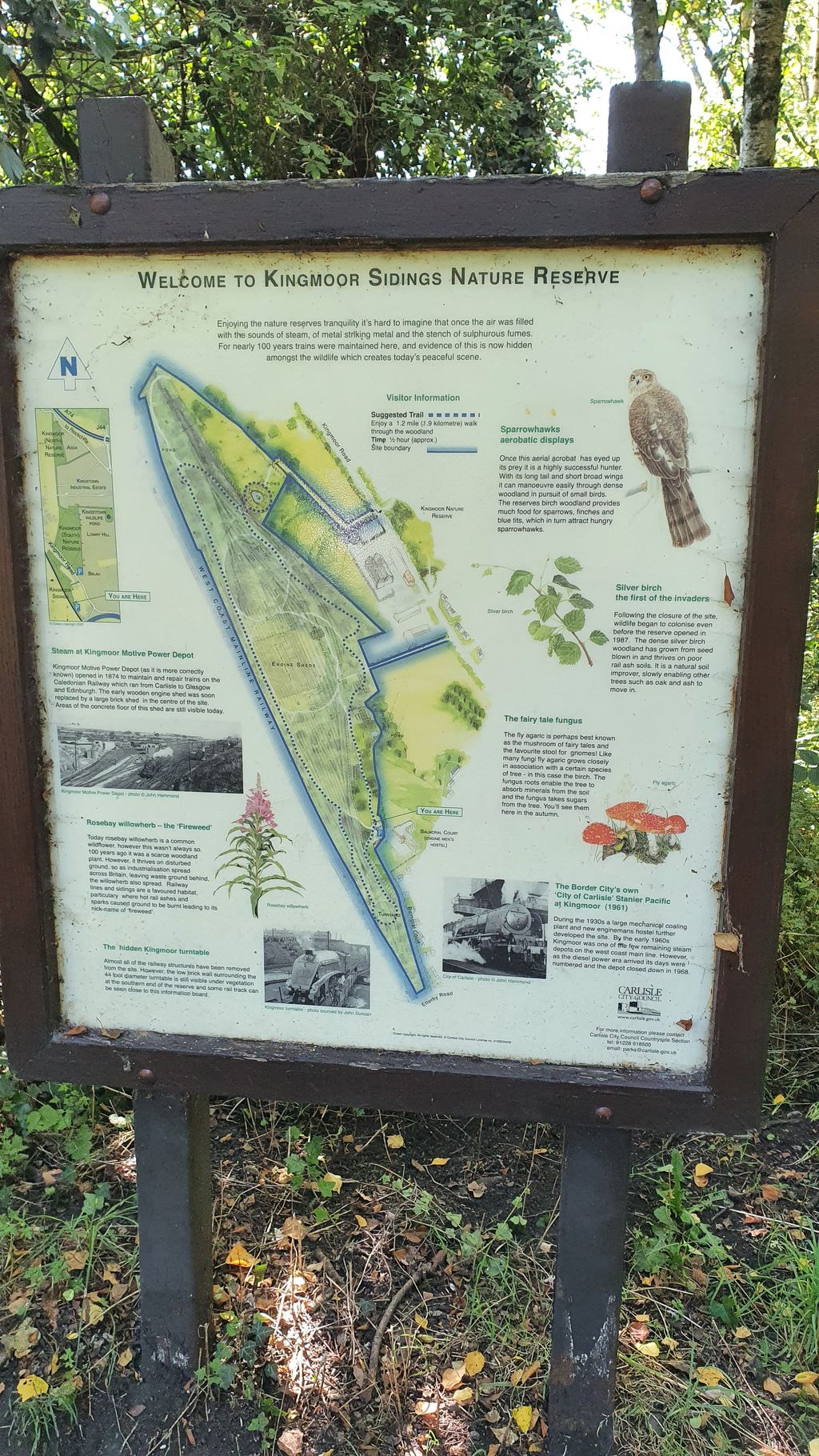 Kingmoor-Nature-Reserve