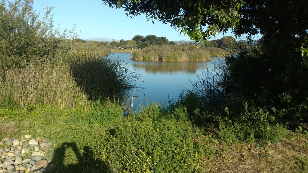 Laguna-Grande-Regional-Park-Monterey-side-1