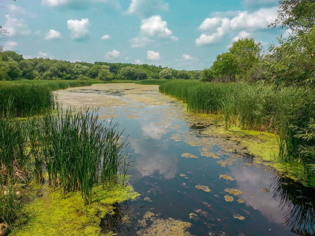 Lake-Kegonsa-State-Park-1