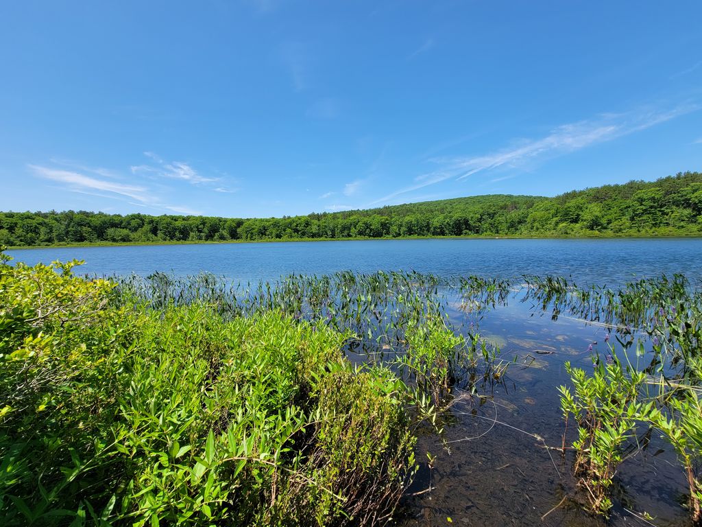 Leominster-State-Forest-Elm-Trailhead-1