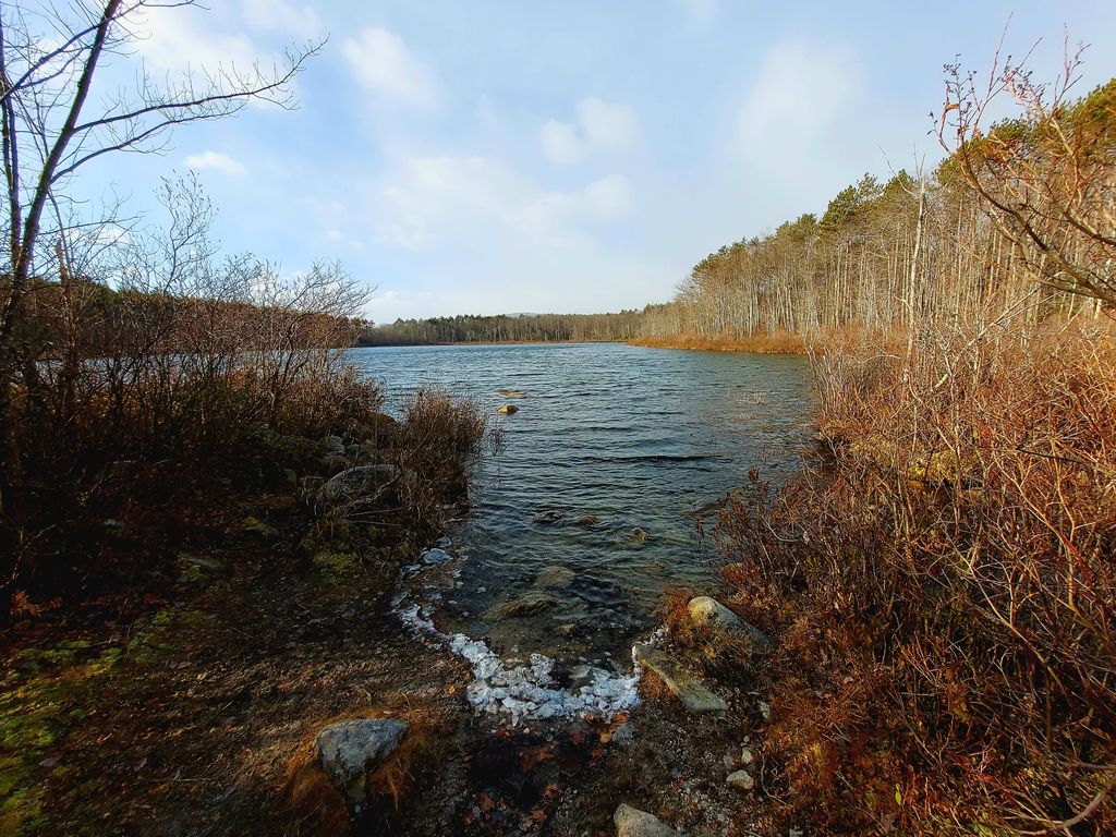 Leominster-State-Forest-Elm-Trailhead-2