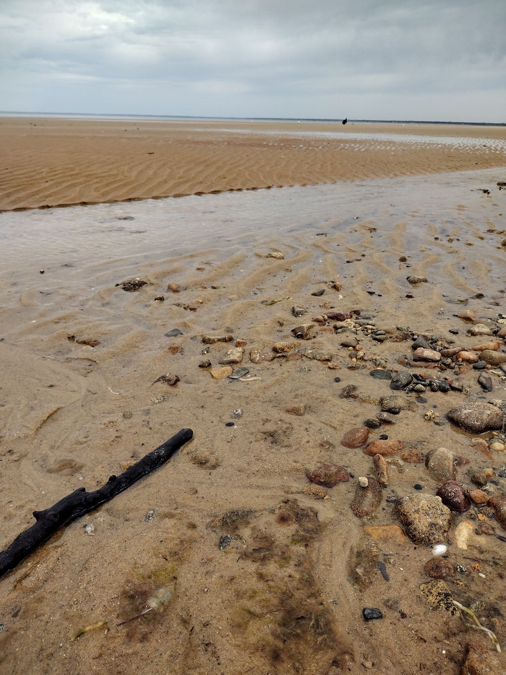 Linnell-Landing-Beach-3