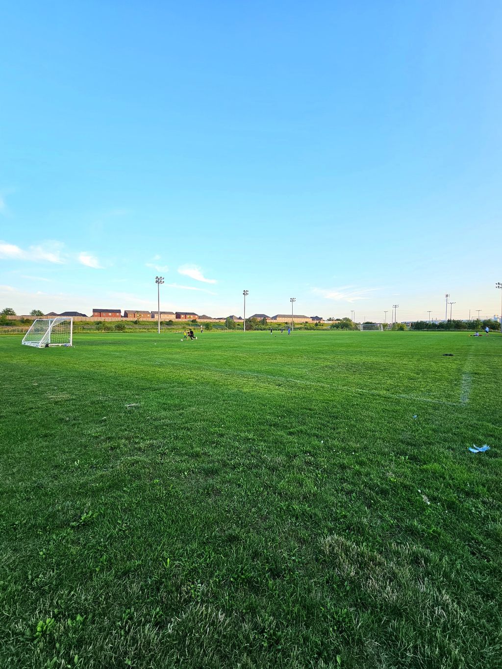 Lions-Sports-Park