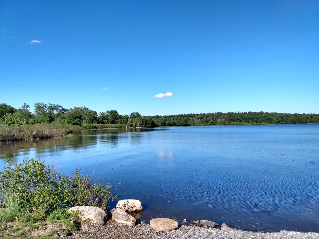 Beachside Bliss: Huntington's Most Relaxing 8 Beach - Thebostondaybook.com