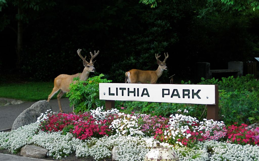 Lithia-Park