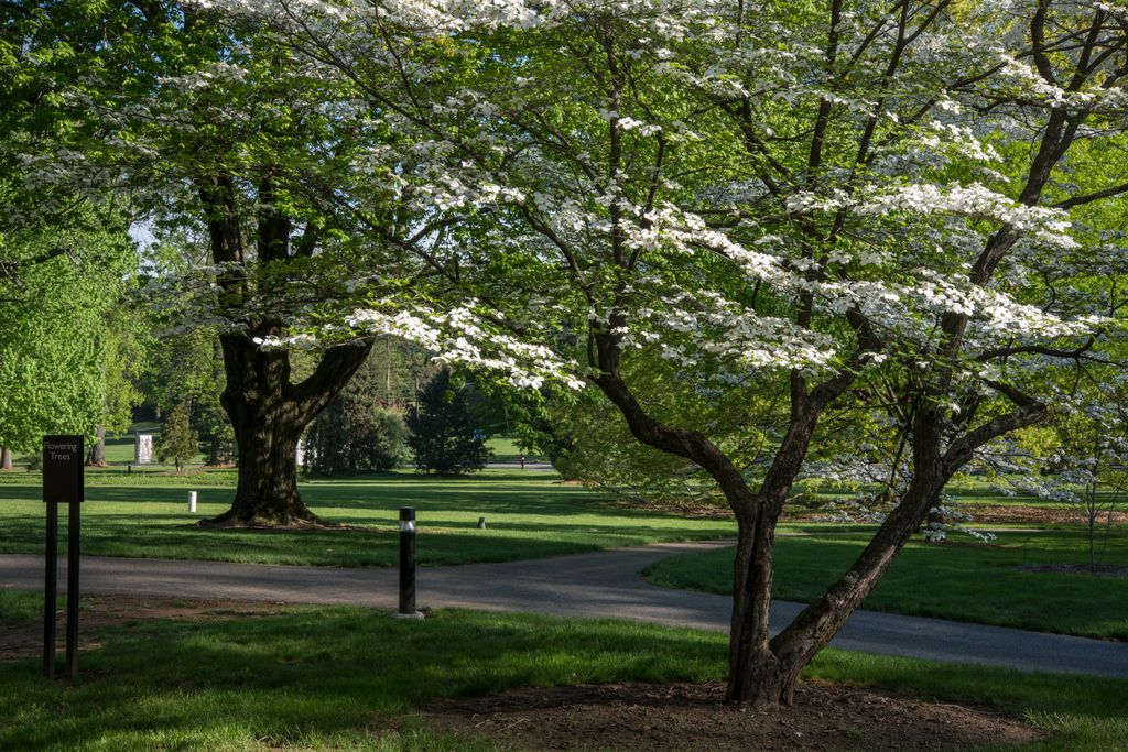 Louise-Arnold-Tanger-Arboretum