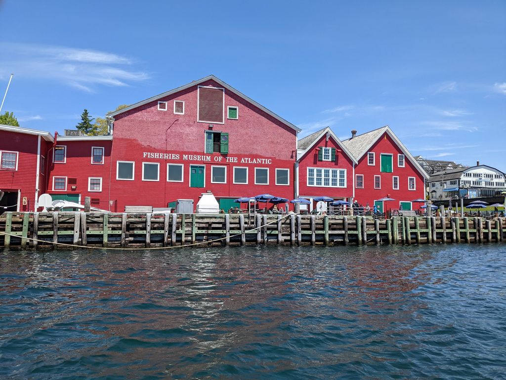 Lunenburg-Whale-Watching-Tours