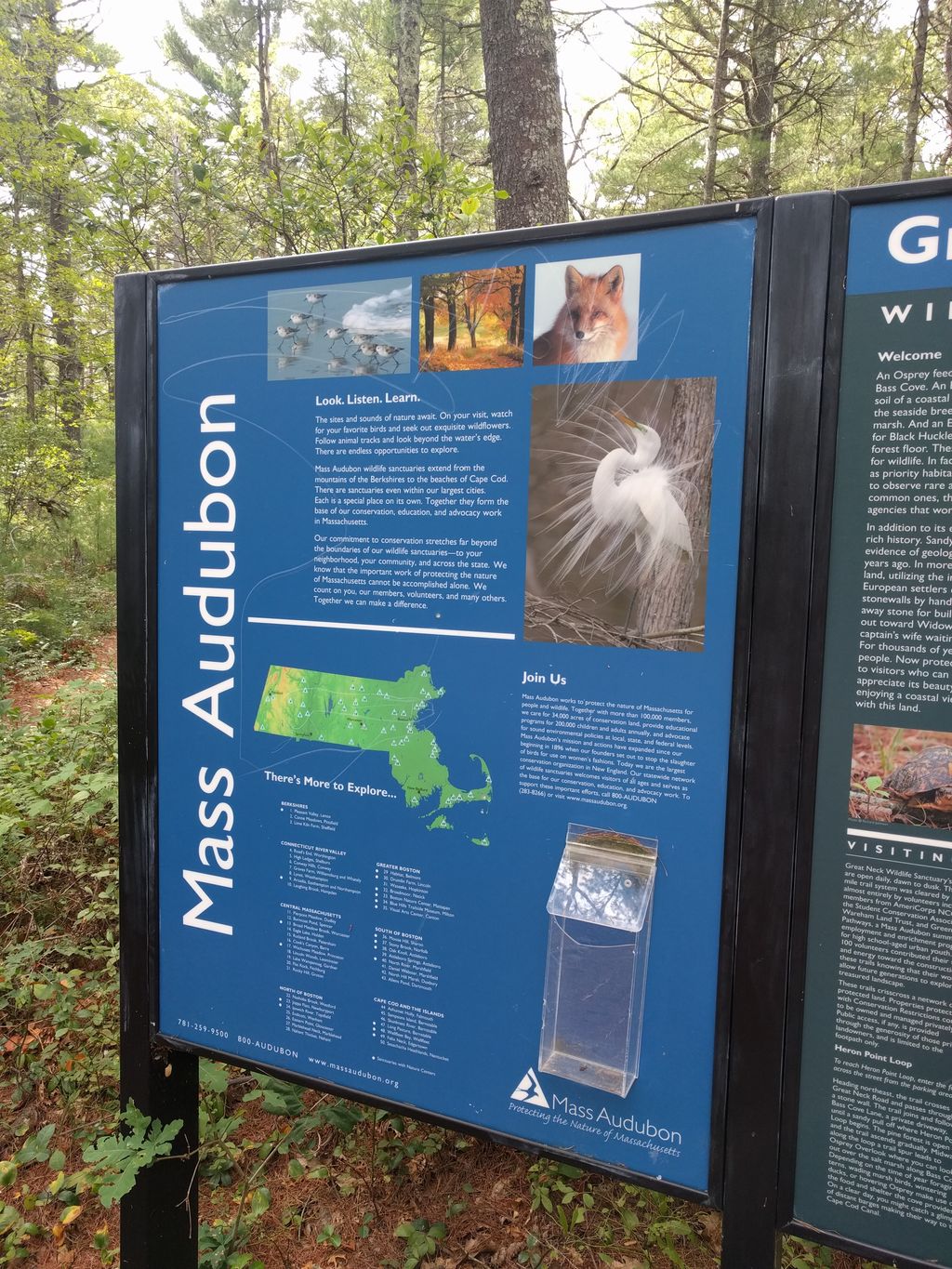 Mass-Audubons-Great-Neck-Wildlife-Sanctuary
