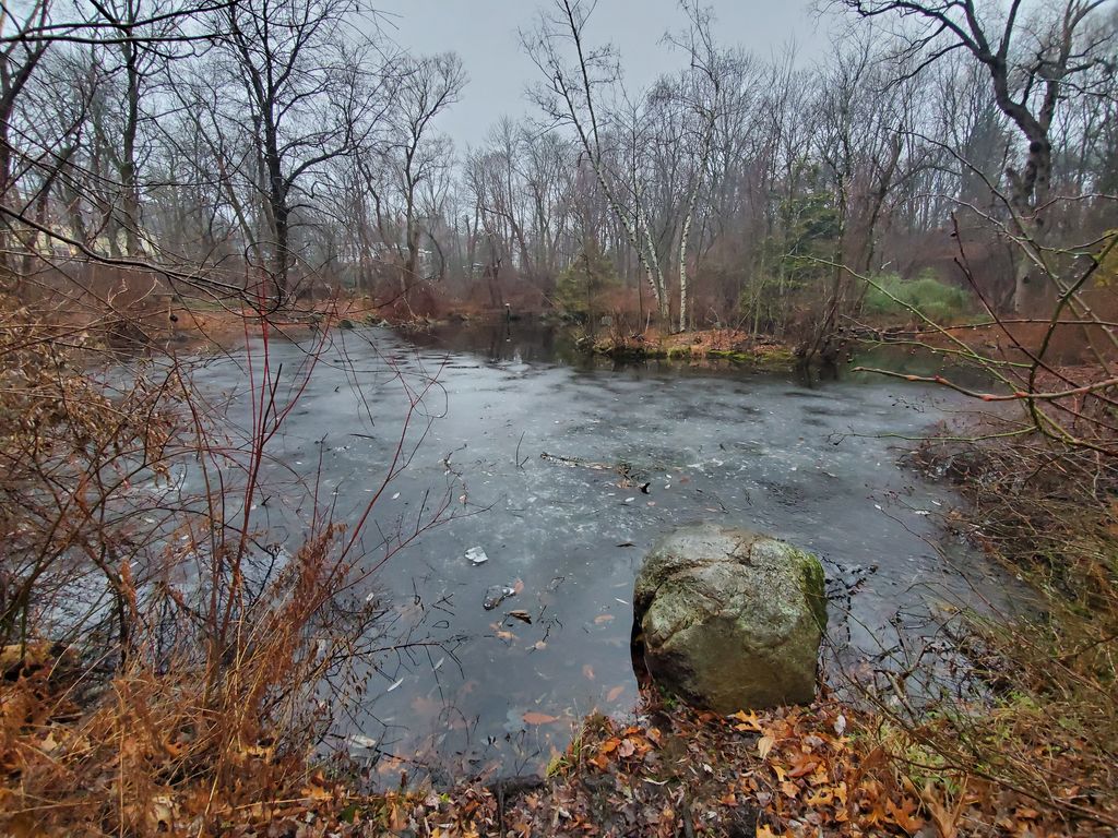 Mass-Audubons-Habitat-Education-Center-and-Wildlife-Sanctuary-1