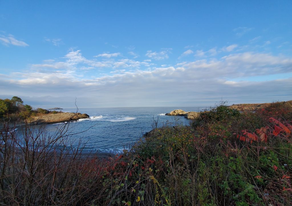 Mass-Audubons-Nahant-Thicket-Wildlife-Sanctuary