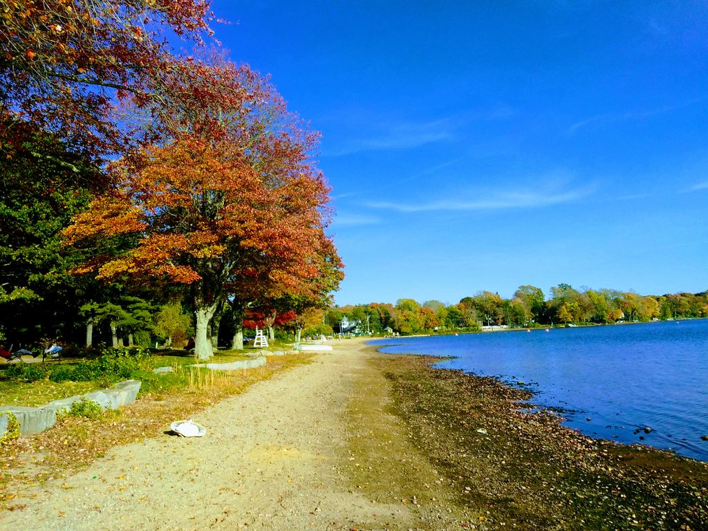 Memorial-Park-Beach