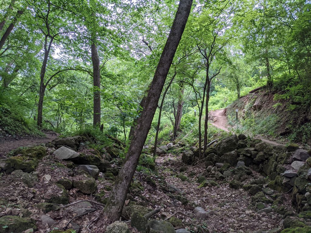 Middleton-Bike-Park