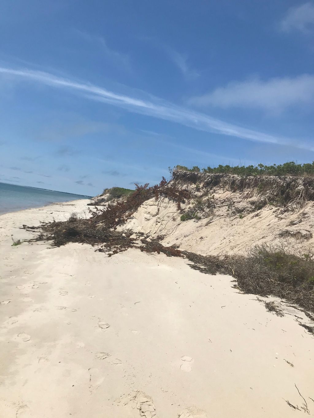 Monomoy-Beach