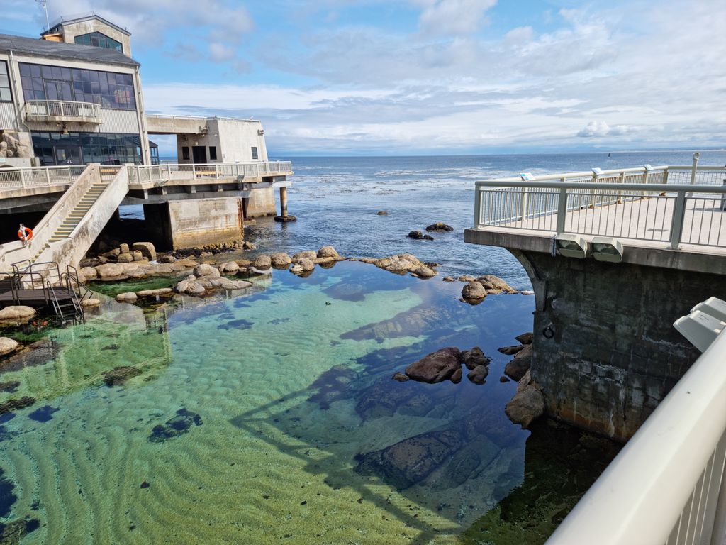 Monterey-Bay-Aquarium-2