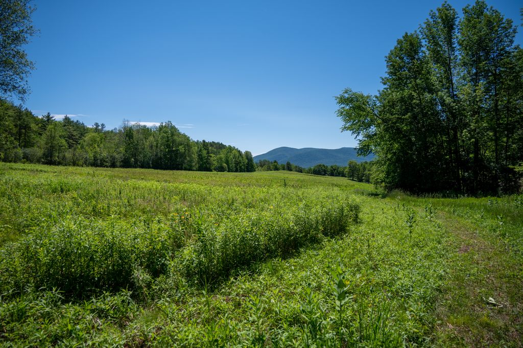 Mountain-Meadow-Preserve-3