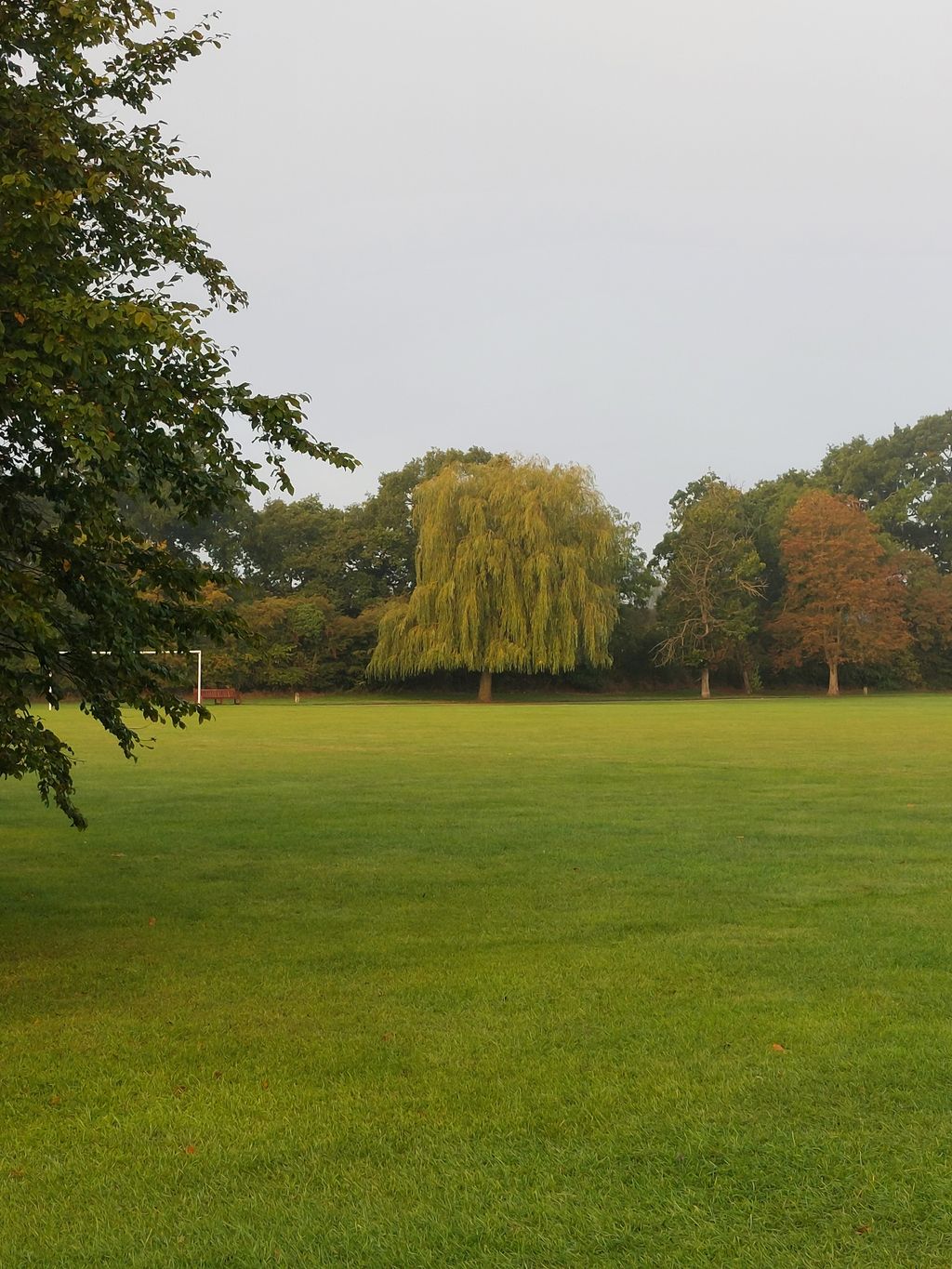 Mowsbury-Park-1