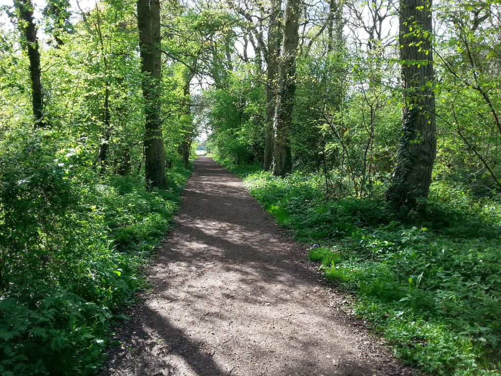 Mowsbury-Park