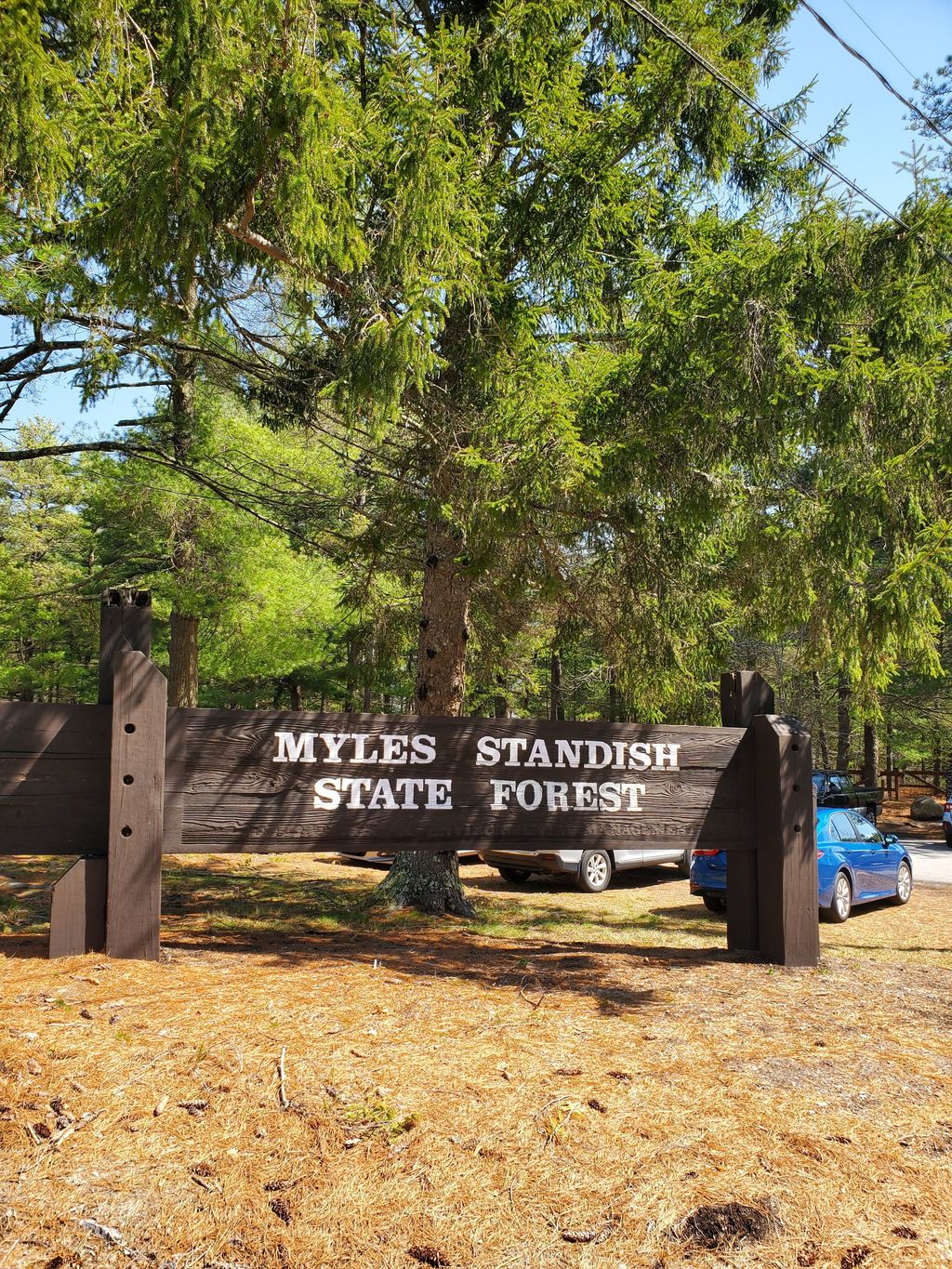 Myles-Standish-State-Forest-1