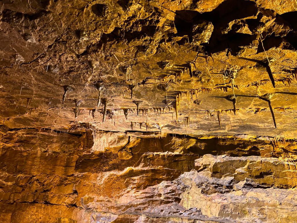 National-Showcaves-Centre-for-Wales-3