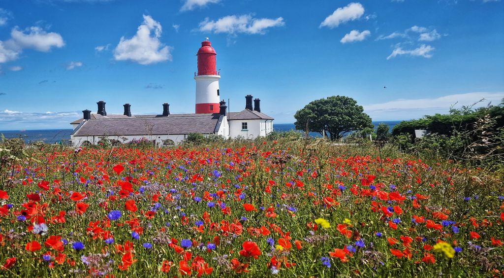 National-Trust-Souter-Lighthouse-and-The-Leas-1